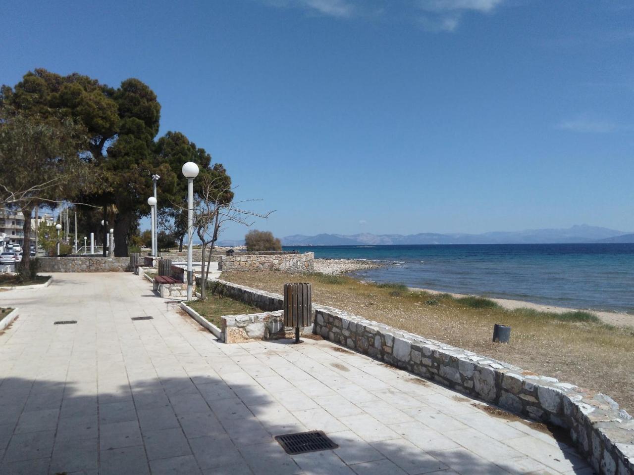 אפרטהוטל ארטמידה Starfish Seaside Studio מראה חיצוני תמונה
